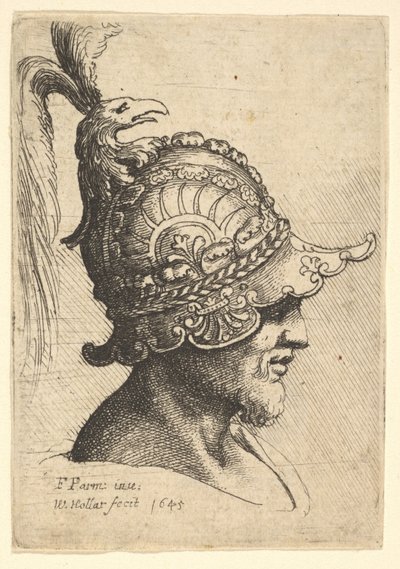 Cabeça protegida com crista principal dos pássaros, 1645. de Wenceslaus Hollar