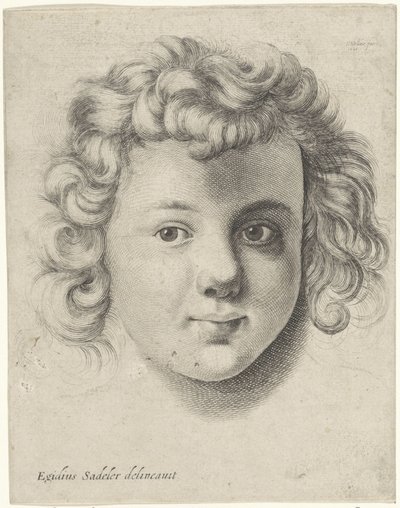Cabeça de uma criança de Wenceslaus Hollar