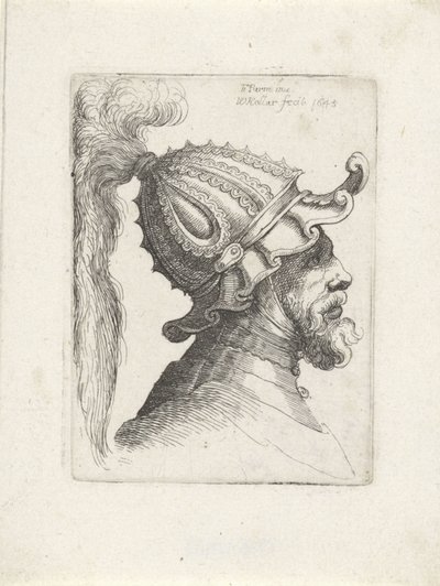 Cabeça de um homem com capacete emplumado Cabeças com capacetes para Parmigianino (título da série) de Wenceslaus Hollar