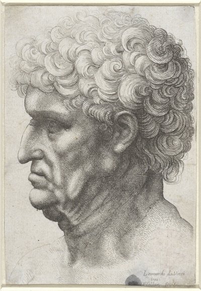 Cabeça de homem com cabelo encaracolado, de perfil de Wenceslaus Hollar