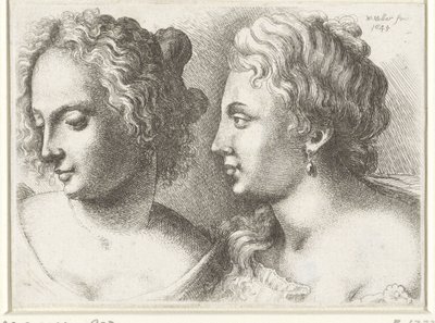 Cabeças de duas mulheres jovens Varie figurae et probae (título da série) Caricaturas, cabeças e deformidades após Leonardo da Vinci (título da série) de Wenceslaus Hollar