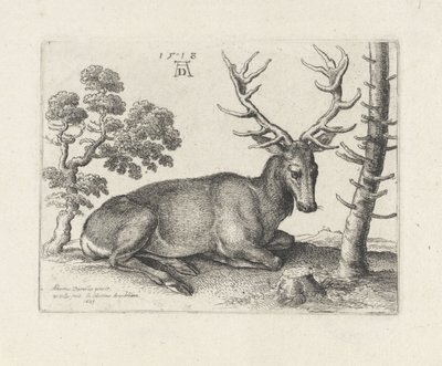 Veado reclinado, à direita de Wenceslaus Hollar