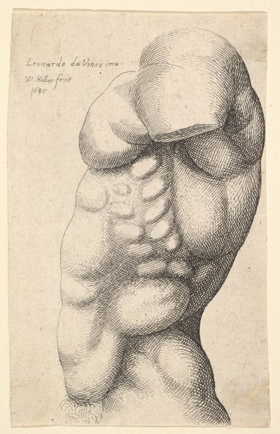 Torso masculino do pescoço ao quadril de perfil à esquerda, 1645. de Wenceslaus Hollar