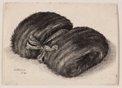  de Wenceslaus Hollar