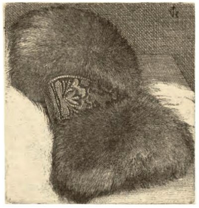 Muff com uma banda de brocado de Wenceslaus Hollar