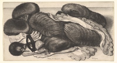  de Wenceslaus Hollar