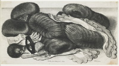 Muffs e artigos de vestuário em uma tabela, 1647 de Wenceslaus Hollar