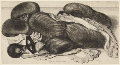 Muflas e adornos de Wenceslaus Hollar