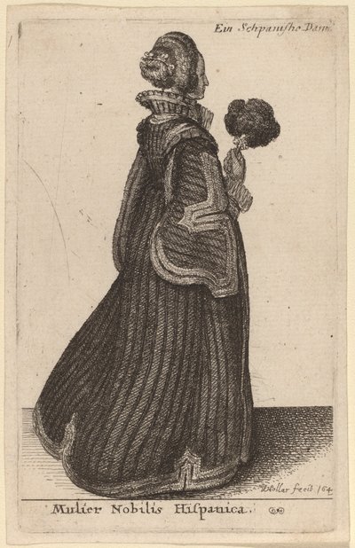 mulher tigre espanhola de Wenceslaus Hollar