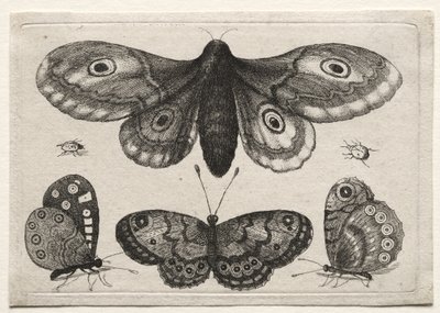  de Wenceslaus Hollar