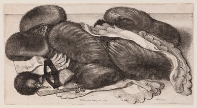  de Wenceslaus Hollar