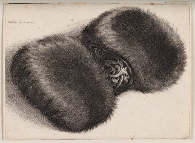  de Wenceslaus Hollar