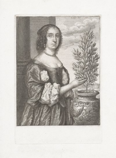 Retrato de uma mulher de pé ao lado de uma planta de loureiro de Wenceslaus Hollar