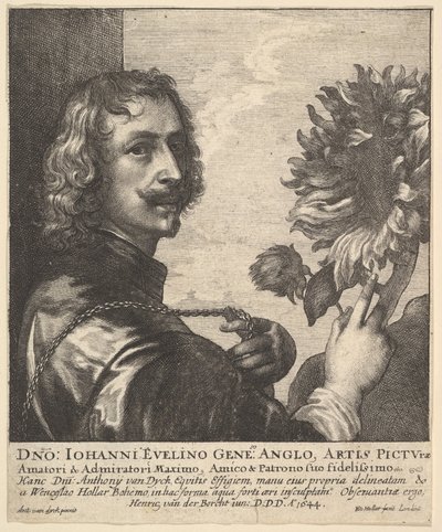 Sir Anthony van Dyck com um girassol, 1644. de Wenceslaus Hollar