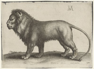 Leão em pé de Wenceslaus Hollar