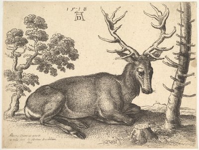 Veado deitado à direita, 1649. de Wenceslaus Hollar