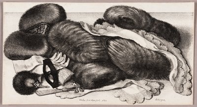 Still-Life com um Grupo de Muffs, um Par de Luvas, e Dois Lenços de Lenço de Wenceslaus Hollar
