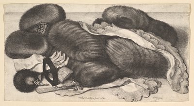 Natureza-morta com um grupo de regalos, um par de luvas, leques, máscara e dois lenços, 1647. de Wenceslaus Hollar