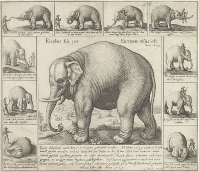 Eles também cheiram Um elefante foi visto aqui na Europa (título no objeto) de Wenceslaus Hollar