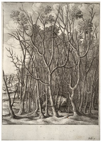 A raposa e o arbusto de espinhos. Estado 2 de Wenceslaus Hollar