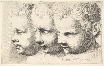  de Wenceslaus Hollar