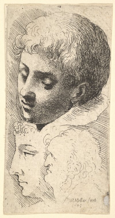 Três cabeças, 1645. de Wenceslaus Hollar