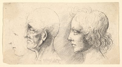 Três cabeças de perfil, uma apenas no esquema, 1625-77. de Wenceslaus Hollar