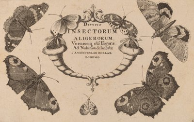Folha de rosto. de Wenceslaus Hollar