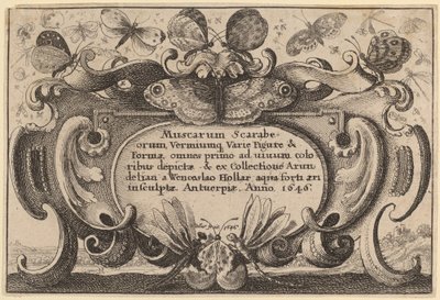 Folha de rosto de Wenceslaus Hollar