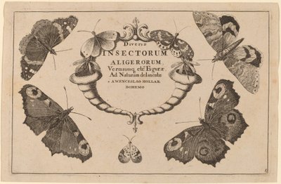 Folha de rosto de Wenceslaus Hollar
