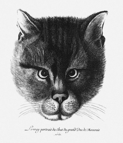 Imagem verdadeira do gato do czar Alexis I Mikhailovich da Rússia de Wenceslaus Hollar