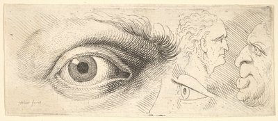 Dois olhos e duas cabeças, 1644-52. de Wenceslaus Hollar
