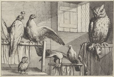Falcões e corujas em um celeiro Diversae avium espécies (título da série) Pássaros diferentes (título da série) de Wenceslaus Hollar