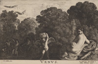 Vénus. de Wenceslaus Hollar