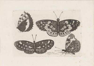 Quatro borboletas
Insectos (título da série)
Muscarum Scarabeorum (título da série) de Wenceslaus Hollar