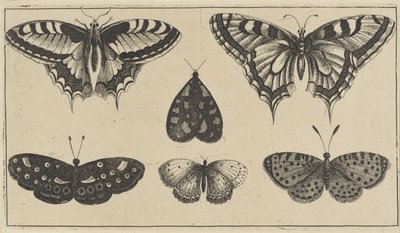 Cinco borboletas e uma mariposa Vários insetos (título da série) Diversae Insectorum (título da série) de Wenceslaus Hollar