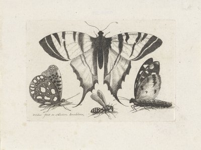 Borboletas e uma vespa
Insectos (título da série)
Muscarum Scarabeorum (título da série) de Wenceslaus Hollar