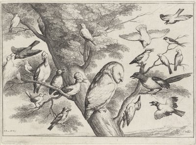 Pássaros numa árvore
Várias aves (título da série) de Wenceslaus Hollar