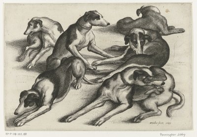 Seis cães de caça reclináveis
Caça, cães de caça e caça (título da série) de Wenceslaus Hollar