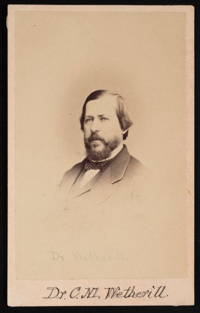 Retrato do Dr. Charles Mayer Wetherill 1825-1871, 1864. de Wenderoth and Taylor