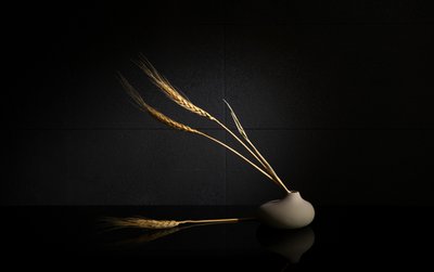  de Wendy Xu