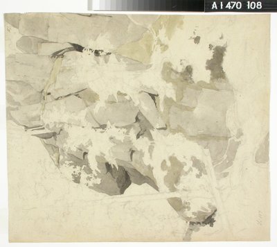 Claustro florestal, parede rochosa íngreme, árvores de Werner Holmberg