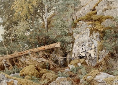 Rocha musgosa na floresta de Werner Holmberg