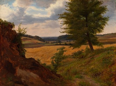 Árvore numa paisagem de campos, estudo de Werner Holmberg