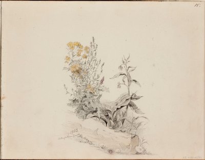  de Werner Holmberg