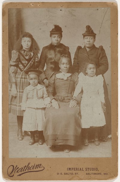 Retrato de uma família,c. 1895 (foto) de Wertheim Imperial Studio
