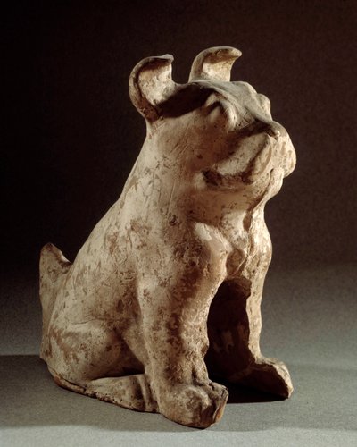 Arte chinesa: terracotta molosse. Estatueta funerária do período Han (206 BC-220 AD). Paris, Museu Cernuschi de Western Han Dynasty Chinese School