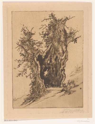 Árvore oca perto de Seelisberg na Suíça
Árvore oca (título original) de Wijnand Otto Jan Nieuwenkamp (signed by artist)