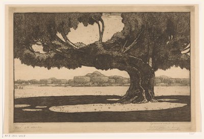Árvores Waringin no jardim do palácio do sultão em Jogyakarta A Grande Árvore (título original) de Wijnand Otto Jan Nieuwenkamp (signed by artist)
