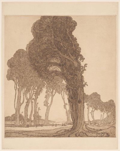 Parte da estrada principal no dessa Cakranegara (Tjakranegara) em Lombok A Grande Estrada (título original) de Wijnand Otto Jan Nieuwenkamp